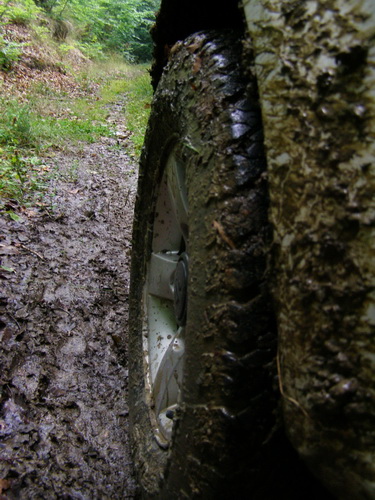 P8048776a.jpg