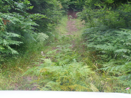 P8048777a.JPG