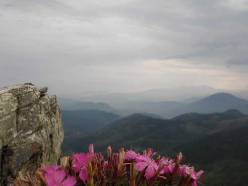 SANY0082a.JPG
