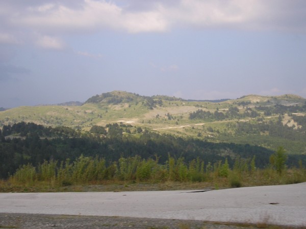 P1010412.jpg