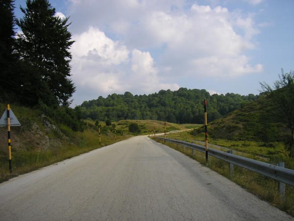 P1010416.jpg