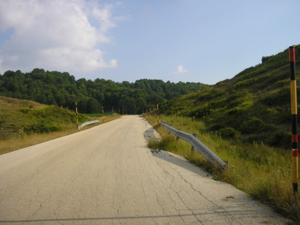 P1010417.jpg
