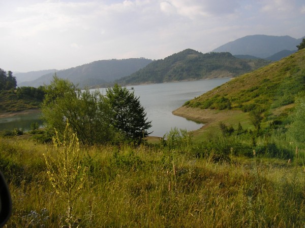 P1010419.jpg