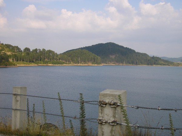 P1010422.jpg
