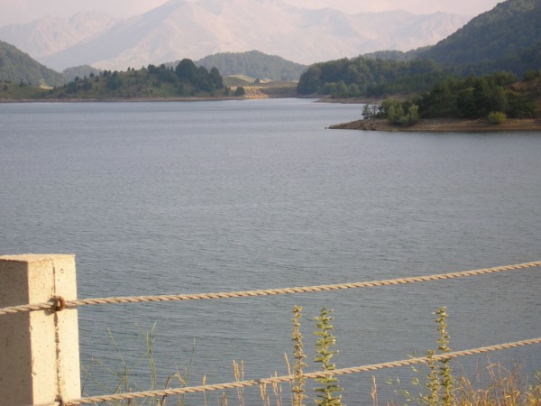 P1010432.jpg