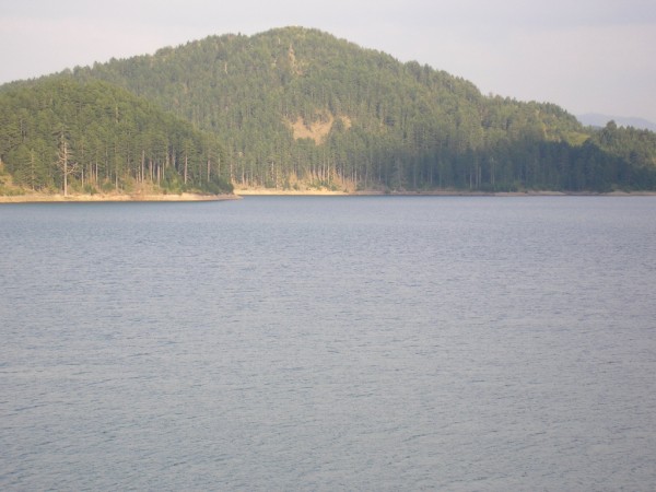 P1010434.jpg