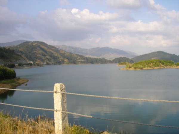 P1010438.jpg
