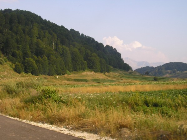 P1010439.jpg