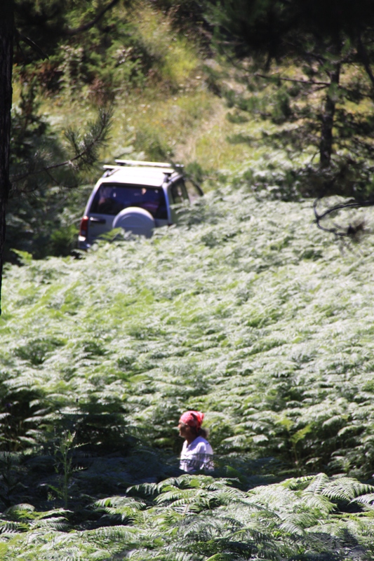 2010_08_07_0006.JPG