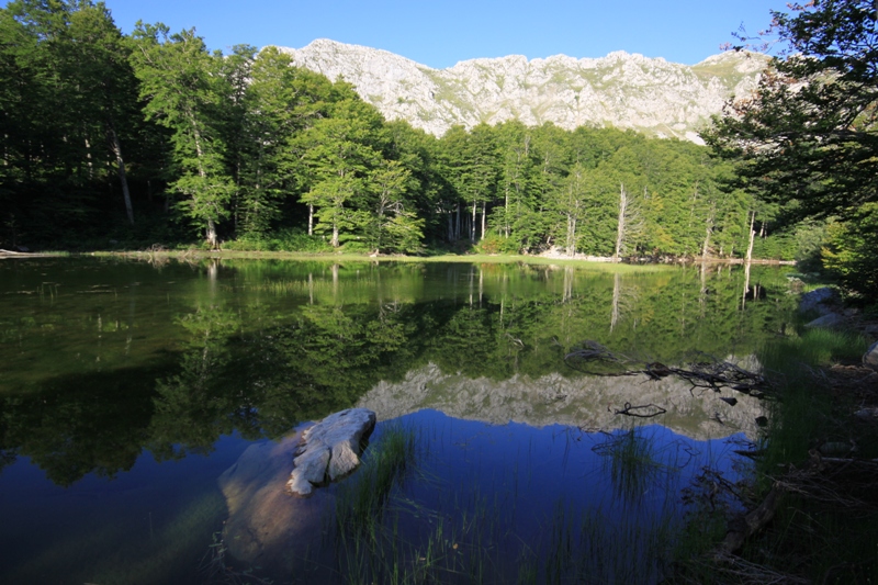 2010_08_08_0010.JPG