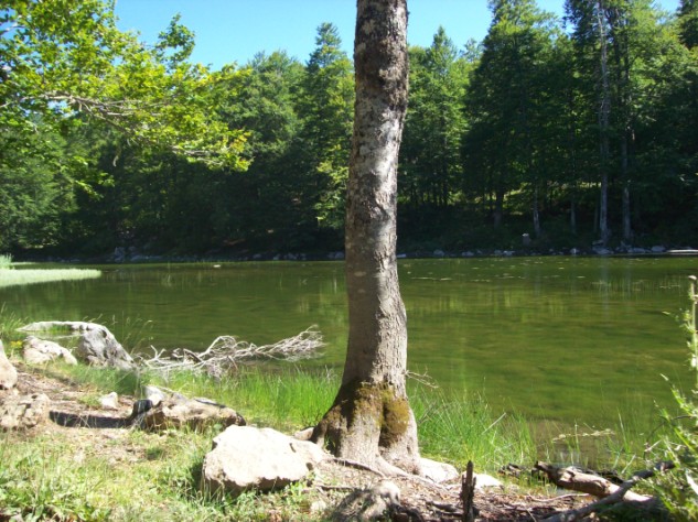 100_2628.jpg