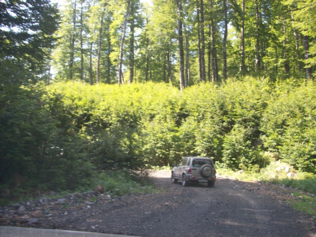 100_2672.jpg