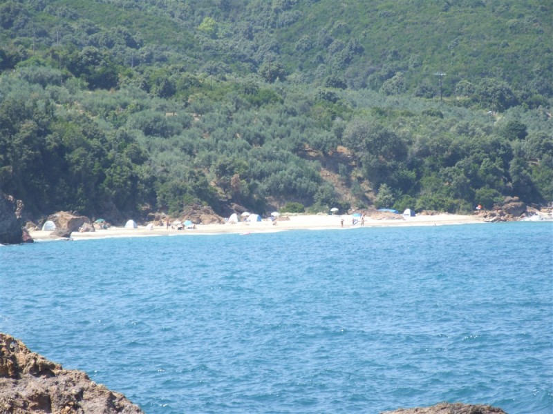 DSCF5228.jpg