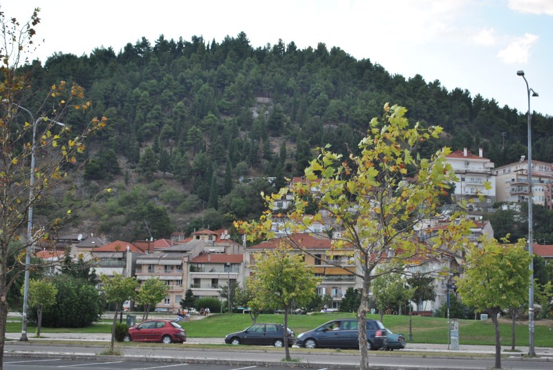 DSC_2244.jpg