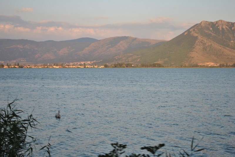 DSC_2270.jpg
