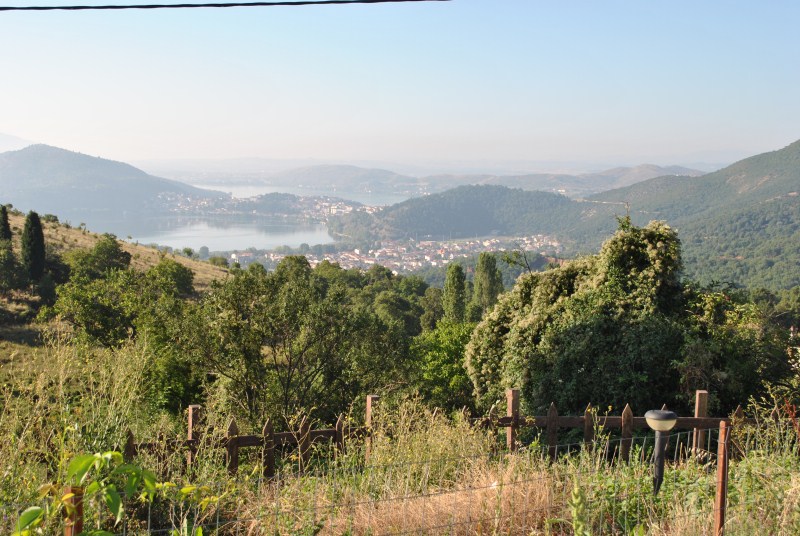 DSC_2370.jpg