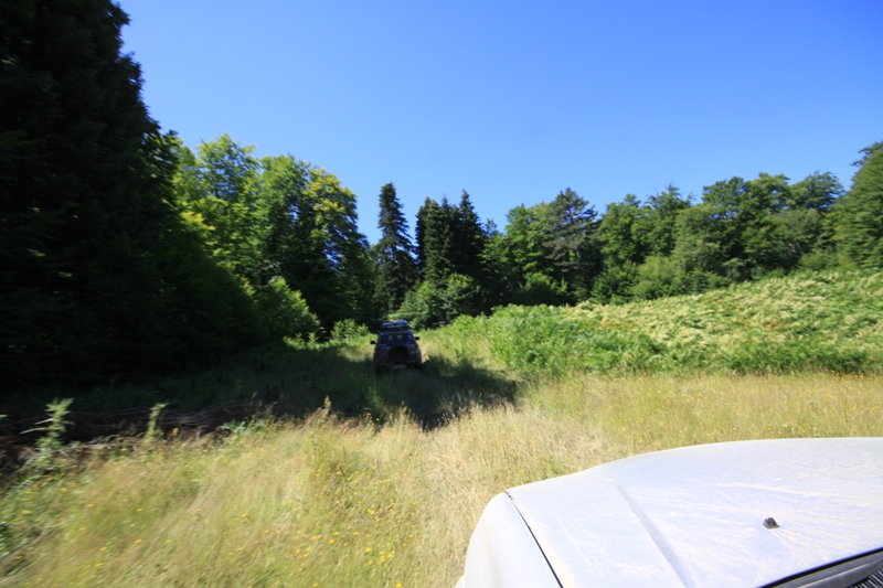2010_08_07_0288.JPG