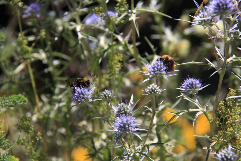 2010_08_07_0381.JPG