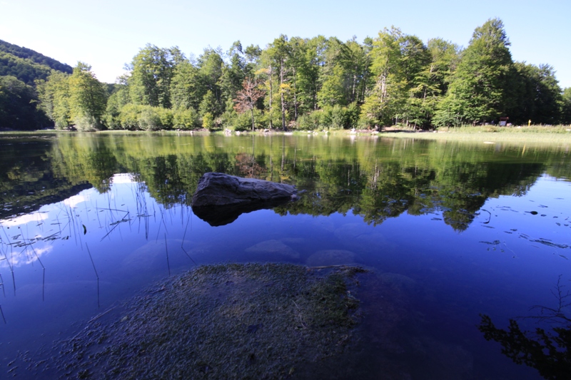 2010_08_07_0492.JPG