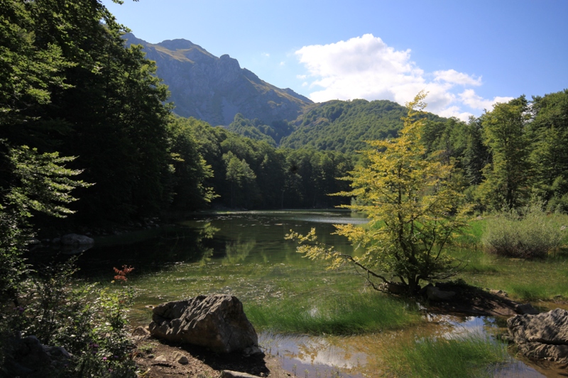 2010_08_07_0505.JPG