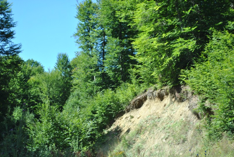 DSC_2418.jpg