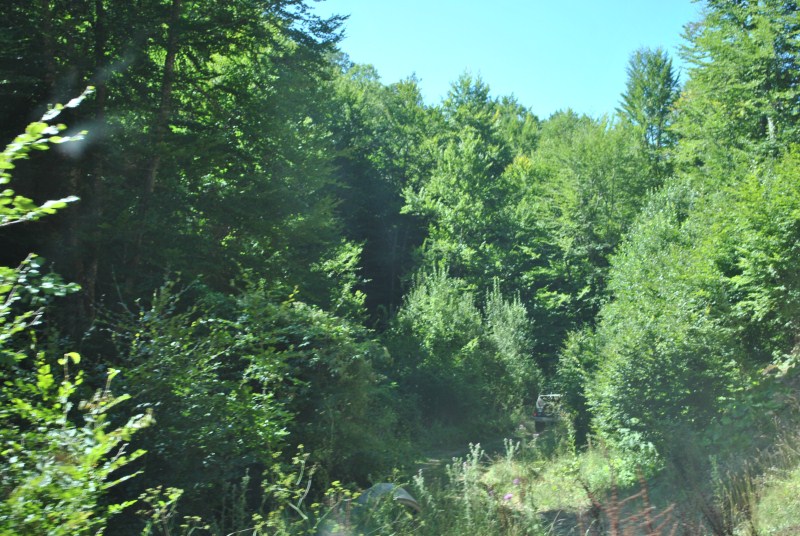 DSC_2419.jpg