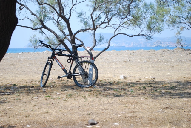 DSC_0466.JPG