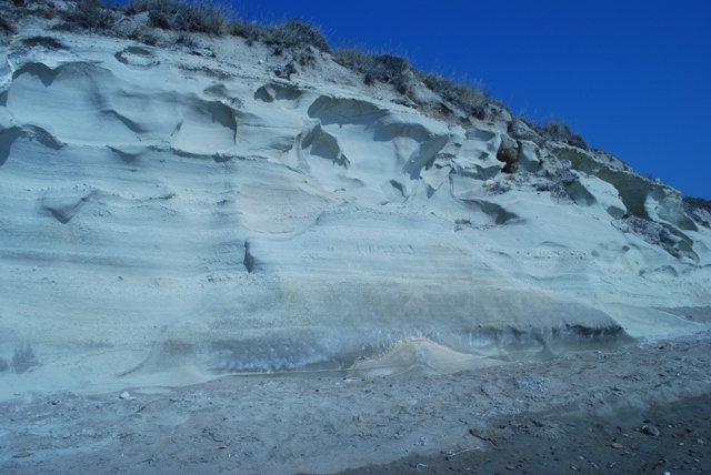DSC_0609.JPG