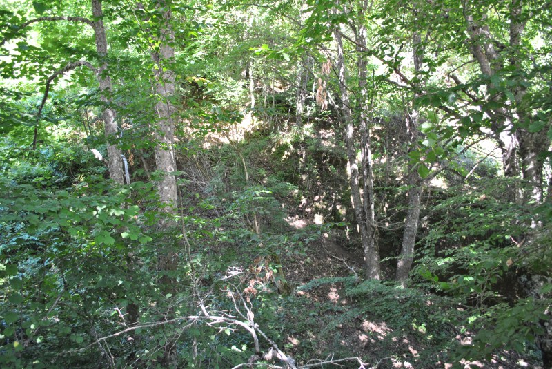DSC_2435.jpg