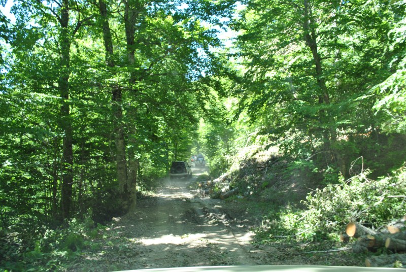 DSC_2442.jpg