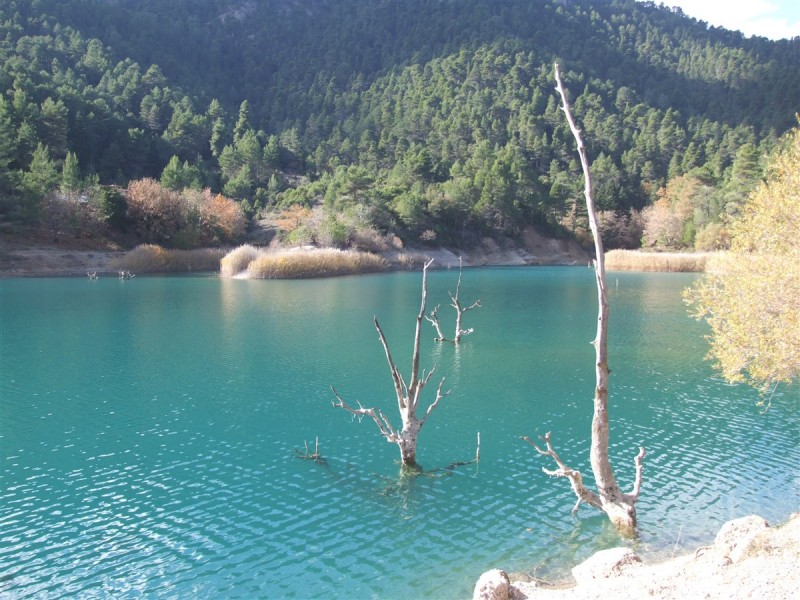 DSCF5362.jpg