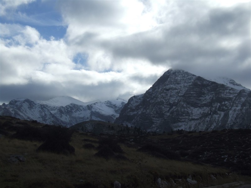 DSCF5370.jpg