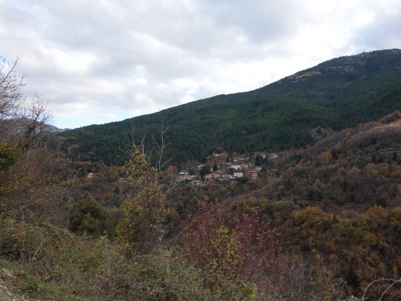 DSC01538.jpg