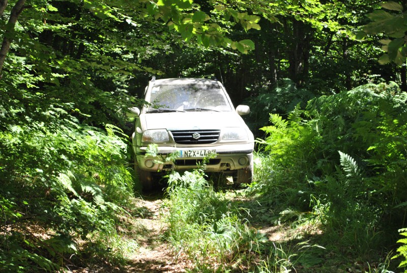 DSC_2458.jpg