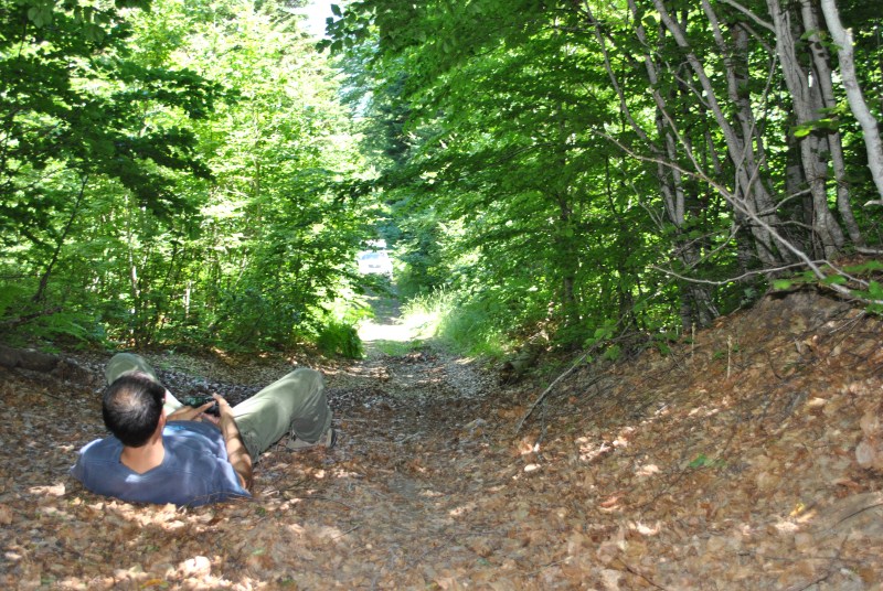 DSC_2461.jpg
