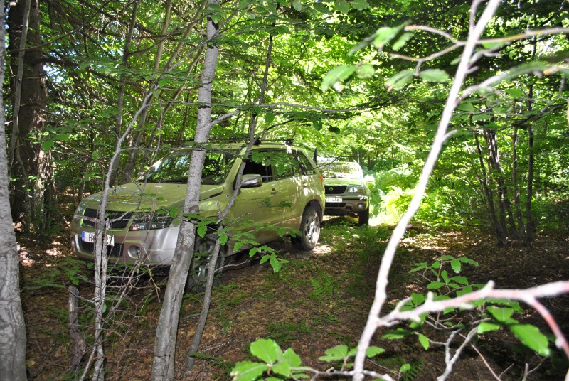 DSC_2470.jpg