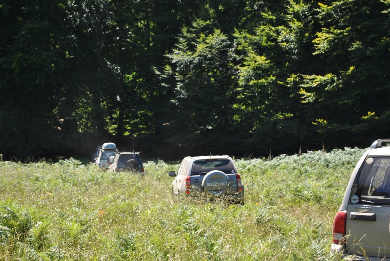 DSC_2491.jpg