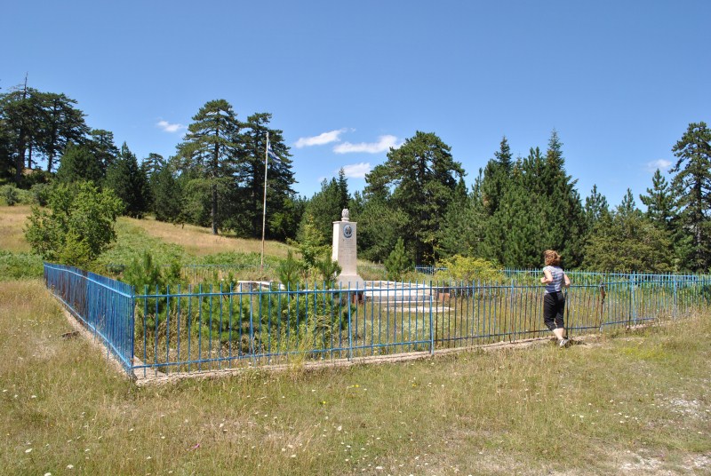 DSC_2531.jpg