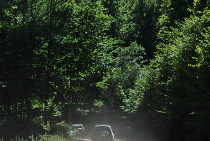DSC_2562.jpg