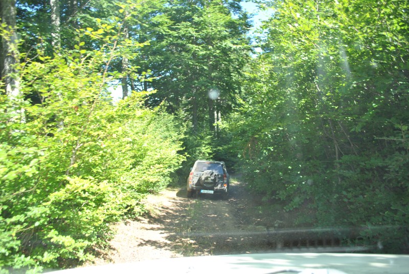 DSC_2570.jpg