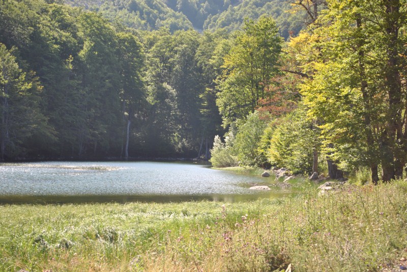 DSC_2587.jpg