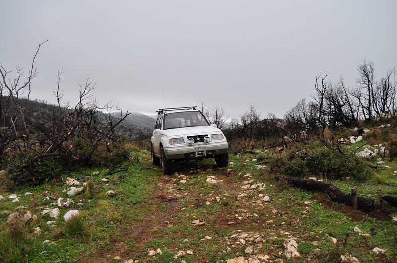 dsc_0149-web.jpg