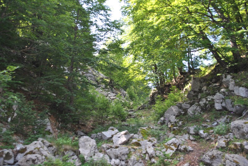 DSC_2713.jpg