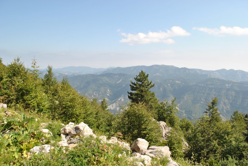 DSC_2717.jpg