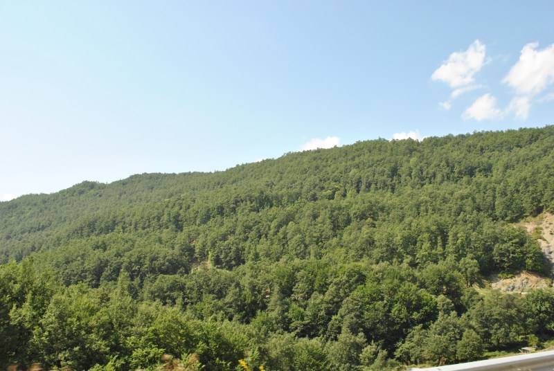 DSC_2734.jpg