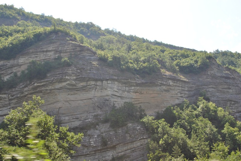 DSC_2735.jpg