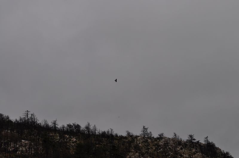 dsc_0138-web.jpg