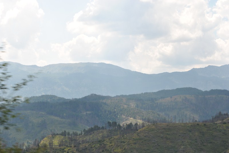 DSC_2760.jpg
