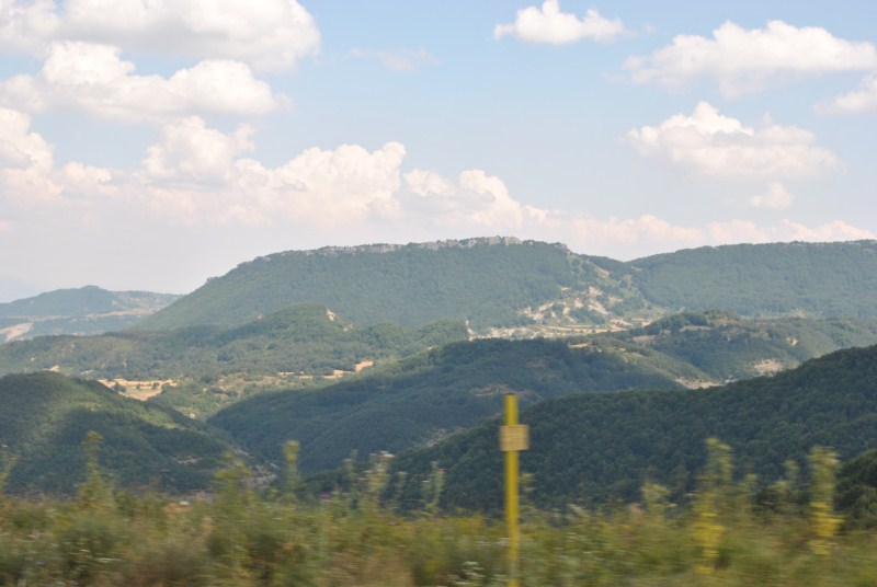 DSC_2769.jpg