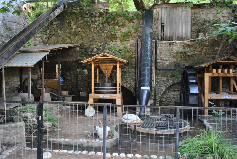 DSC_2828.jpg